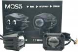 WALLI-DGP